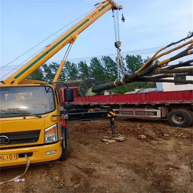 九合垸原种场100吨吊车租赁费用怎么算？3大关键因素+省钱技巧全解析